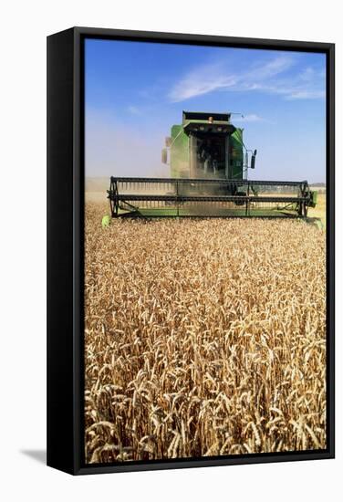 Combine Harvester Working In a Wheat Field-Jeremy Walker-Framed Premier Image Canvas