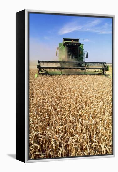 Combine Harvester Working In a Wheat Field-Jeremy Walker-Framed Premier Image Canvas