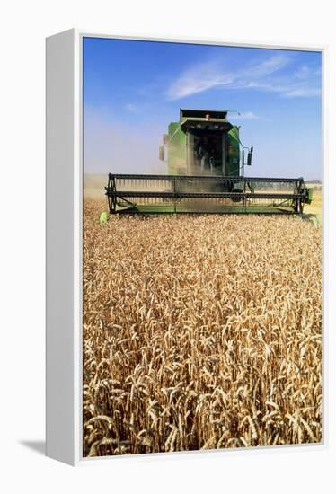 Combine Harvester Working In a Wheat Field-Jeremy Walker-Framed Premier Image Canvas