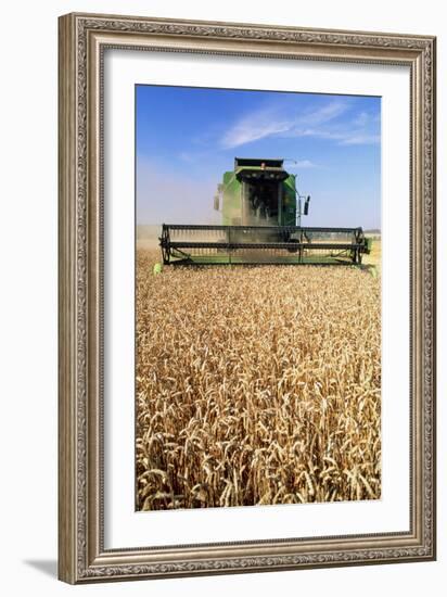 Combine Harvester Working In a Wheat Field-Jeremy Walker-Framed Photographic Print