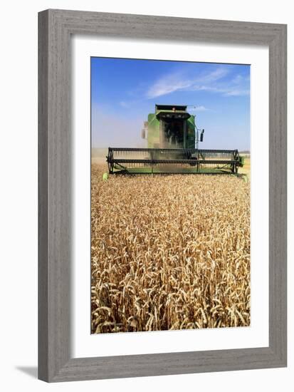 Combine Harvester Working In a Wheat Field-Jeremy Walker-Framed Photographic Print