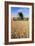 Combine Harvester Working In a Wheat Field-Jeremy Walker-Framed Photographic Print