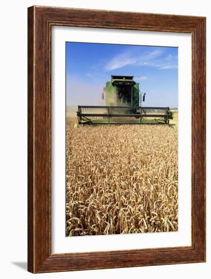 Combine Harvester Working In a Wheat Field-Jeremy Walker-Framed Photographic Print