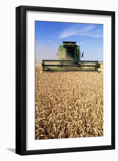 Combine Harvester Working In a Wheat Field-Jeremy Walker-Framed Photographic Print