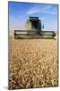 Combine Harvester Working In a Wheat Field-Jeremy Walker-Mounted Photographic Print