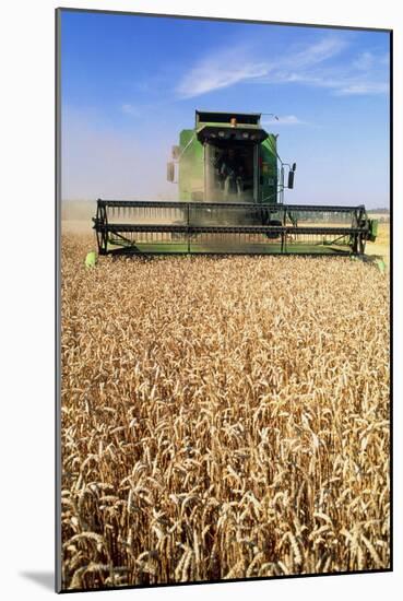 Combine Harvester Working In a Wheat Field-Jeremy Walker-Mounted Photographic Print