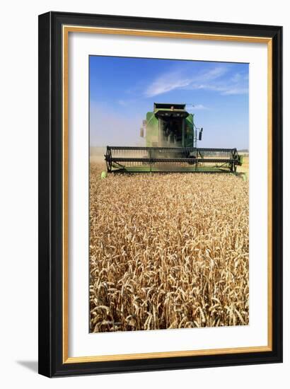 Combine Harvester Working In a Wheat Field-Jeremy Walker-Framed Photographic Print