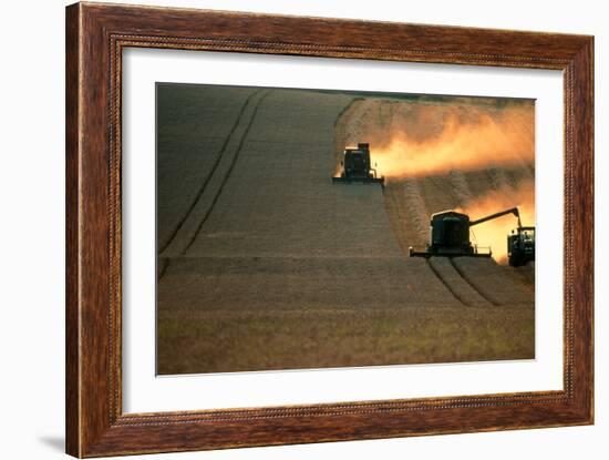 Combine Harvesters And Tractor Working In a Field-Jeremy Walker-Framed Photographic Print