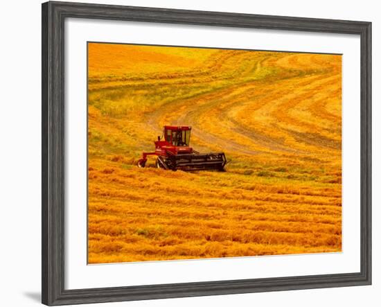 Combine Swathing Crop, Palouse, Washington, USA-Terry Eggers-Framed Photographic Print