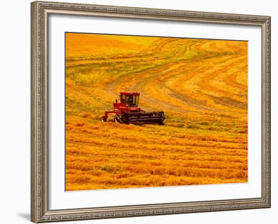 Combine Swathing Crop, Palouse, Washington, USA-Terry Eggers-Framed Photographic Print