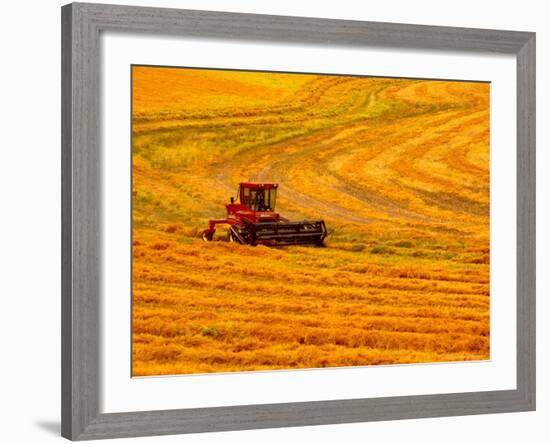 Combine Swathing Crop, Palouse, Washington, USA-Terry Eggers-Framed Photographic Print