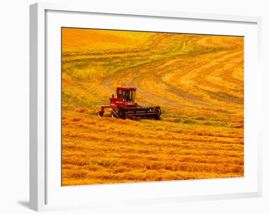 Combine Swathing Crop, Palouse, Washington, USA-Terry Eggers-Framed Photographic Print