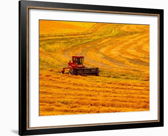 Combine Swathing Crop, Palouse, Washington, USA-Terry Eggers-Framed Photographic Print