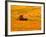 Combine Swathing Crop, Palouse, Washington, USA-Terry Eggers-Framed Photographic Print