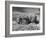 Combines and Crews Harvesting Wheat, Loading into Trucks to Transport to Storage-Joe Scherschel-Framed Premium Photographic Print