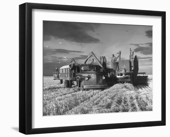 Combines and Crews Harvesting Wheat, Loading into Trucks to Transport to Storage-Joe Scherschel-Framed Premium Photographic Print