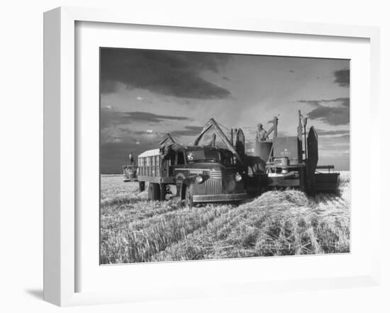 Combines and Crews Harvesting Wheat, Loading into Trucks to Transport to Storage-Joe Scherschel-Framed Photographic Print