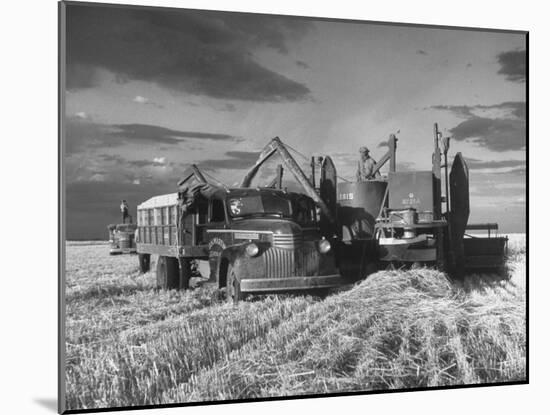 Combines and Crews Harvesting Wheat, Loading into Trucks to Transport to Storage-Joe Scherschel-Mounted Photographic Print