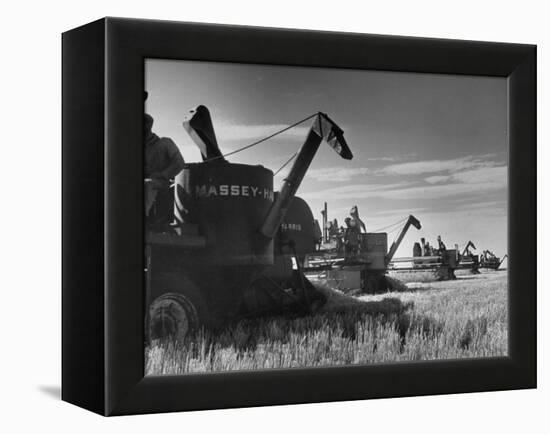 Combines Being Used to Harvest Wheat-Ed Clark-Framed Premier Image Canvas