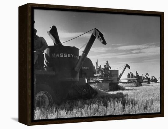 Combines Being Used to Harvest Wheat-Ed Clark-Framed Premier Image Canvas
