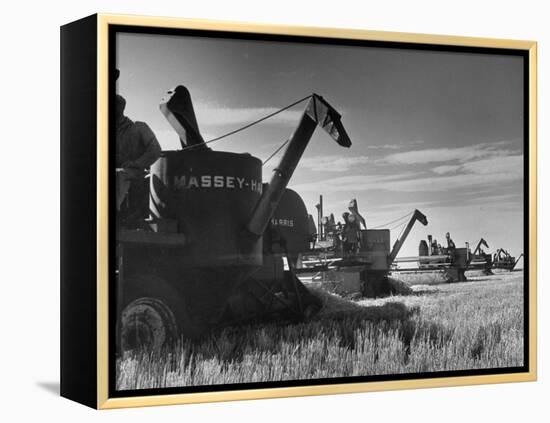 Combines Being Used to Harvest Wheat-Ed Clark-Framed Premier Image Canvas