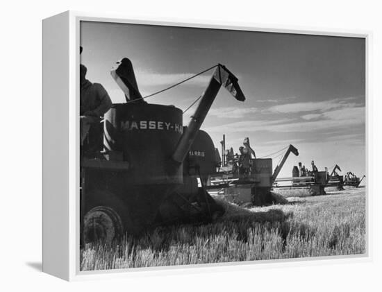 Combines Being Used to Harvest Wheat-Ed Clark-Framed Premier Image Canvas