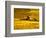 Combines Harvesting Crop, Palouse, Washington, USA-Terry Eggers-Framed Photographic Print