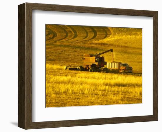 Combines Harvesting Crop, Palouse, Washington, USA-Terry Eggers-Framed Photographic Print