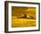 Combines Harvesting Crop, Palouse, Washington, USA-Terry Eggers-Framed Photographic Print