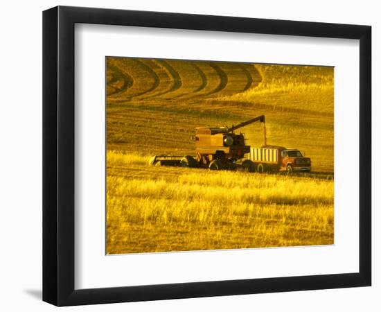 Combines Harvesting Crop, Palouse, Washington, USA-Terry Eggers-Framed Photographic Print