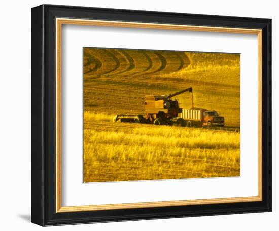 Combines Harvesting Crop, Palouse, Washington, USA-Terry Eggers-Framed Photographic Print