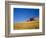 Combines Harvesting Crop, Palouse, Washington, USA-Terry Eggers-Framed Photographic Print