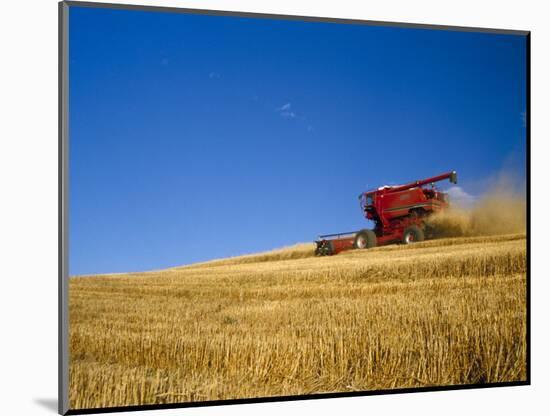 Combines Harvesting Crop, Palouse, Washington, USA-Terry Eggers-Mounted Photographic Print