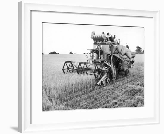 Combining Barley-null-Framed Photographic Print