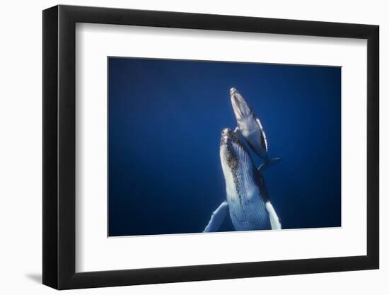 Come back to the Surface-Barathieu Gabriel-Framed Photographic Print