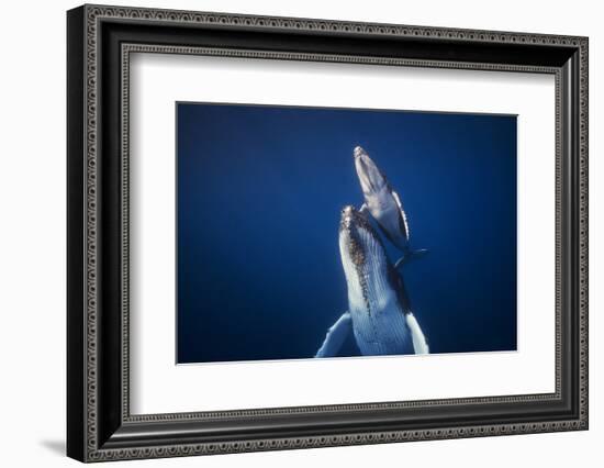 Come back to the Surface-Barathieu Gabriel-Framed Photographic Print