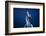 Come back to the Surface-Barathieu Gabriel-Framed Photographic Print