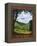 Come Home To The Shire-Steve Thomas-Framed Premier Image Canvas