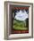 Come Home To The Shire-Steve Thomas-Framed Giclee Print