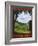 Come Home To The Shire-Steve Thomas-Framed Giclee Print