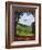 Come Home To The Shire-Steve Thomas-Framed Giclee Print