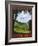 Come Home To The Shire-Steve Thomas-Framed Giclee Print