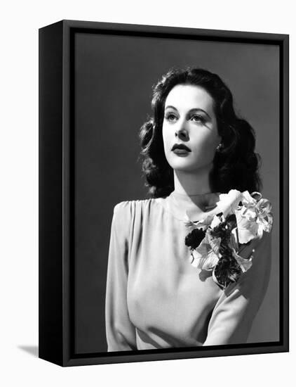 Come Live with Me, Hedy Lamarr, 1941-null-Framed Stretched Canvas