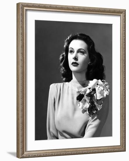 Come Live with Me, Hedy Lamarr, 1941-null-Framed Photo