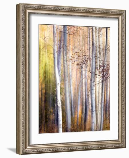 Come Walk with Me-Ursula Abresch-Framed Photographic Print