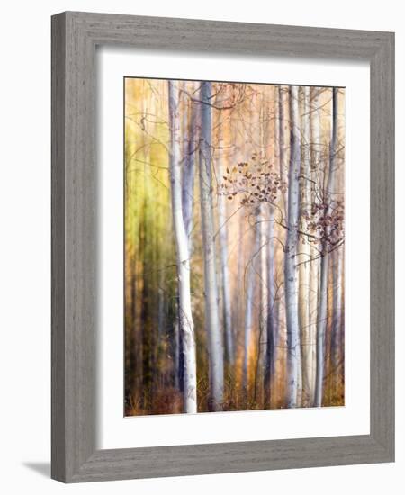 Come Walk with Me-Ursula Abresch-Framed Photographic Print