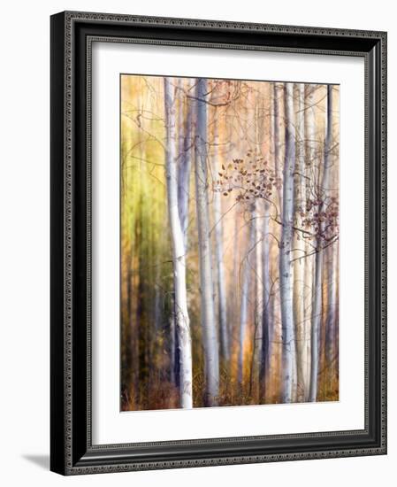 Come Walk with Me-Ursula Abresch-Framed Photographic Print