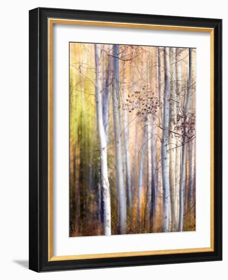 Come Walk with Me-Ursula Abresch-Framed Photographic Print