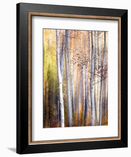 Come Walk with Me-Ursula Abresch-Framed Photographic Print