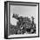 Comedienne Martha Raye on Stage for a Rapt Audience of Amer. Soldiers During USO-Camp Shows-Margaret Bourke-White-Framed Premium Photographic Print